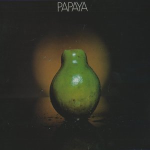 ดาวน์โหลดและฟังเพลง Favela พร้อมเนื้อเพลงจาก Papaya