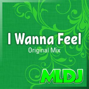 Album I Wanna Feel from MLDJ