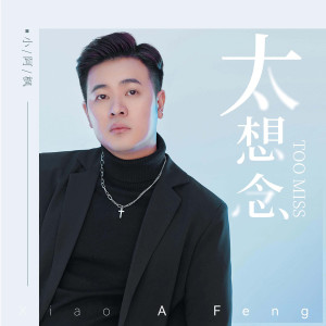 收聽小阿楓的太想念(DJ男版) (完整版)歌詞歌曲