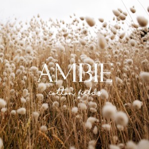 Album Cotton Fields from ambie