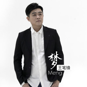 收聽王筆鋒的夢 (伴奏)歌詞歌曲
