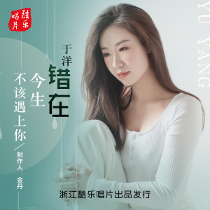 Album 错在今生不该遇上你(DJ默涵版) from 于洋