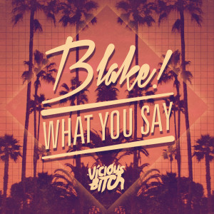 收聽Blake!的What You Say (La Dooda Remix)歌詞歌曲