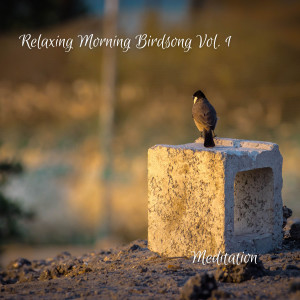 Meditation的专辑Meditation: Relaxing Morning Birdsong Vol. 1