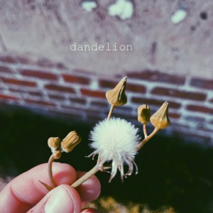 Dorsey的專輯Dandelion (acoustic demo)