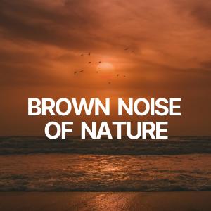 อัลบัม Brown Noise of Nature ศิลปิน Brown Noise