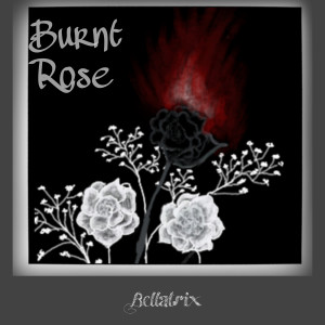 Bellatrix的专辑Burnt Rose