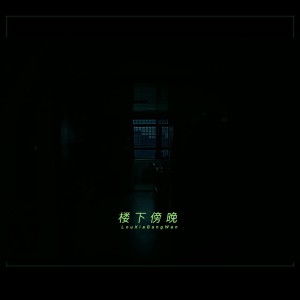 Album 楼下傍晚 from Newyounggo