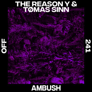 The Reason Y的專輯Ambush