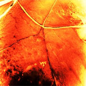 ดาวน์โหลดและฟังเพลง Major League (Explicit) พร้อมเนื้อเพลงจาก CZONNE