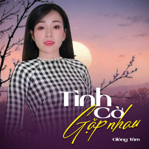 收聽Giáng Tâm的Tình Cờ Gặp Nhau歌詞歌曲