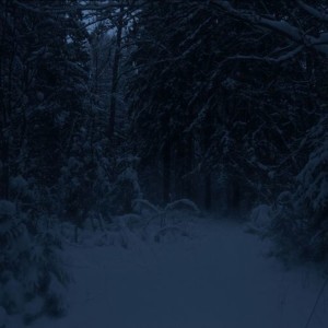 Album темнота from ladlegard