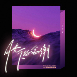 Listen to 月光下的念潮 song with lyrics from 林亦双
