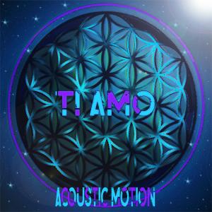 ดาวน์โหลดและฟังเพลง Light In the Dark (feat. Jessie) พร้อมเนื้อเพลงจาก Acoustic Motion