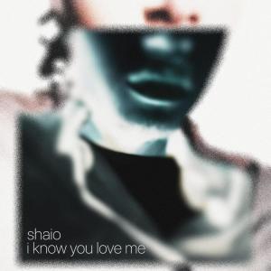 收聽Shaio的Option Interlude (Explicit)歌詞歌曲