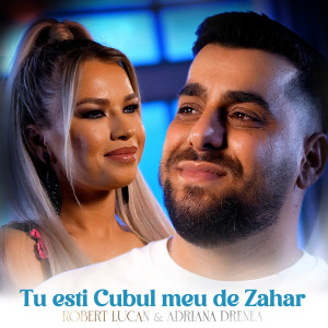 Listen to Tu esti cubul meu de zahar song with lyrics from Robert Lučan