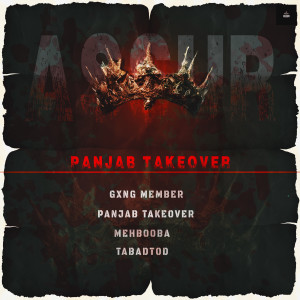 Album Panjab Takeover (Explicit) from Assur