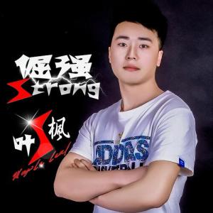 枫叶的专辑倔强
