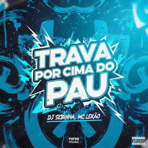 Album Trava Por Cima Do Pau (Explicit) from Dj Sebinha