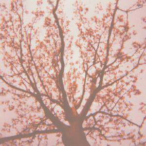 ดาวน์โหลดและฟังเพลง Early Spring พร้อมเนื้อเพลงจาก Mike Nora