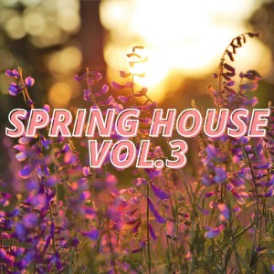 Listen to Mozalounge (Dreaming Mix) song with lyrics from Sound Of Nyc