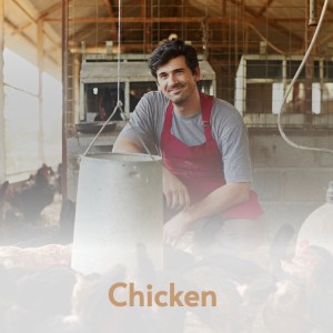 收聽Earl Royce & The Olympics的Chicken歌詞歌曲