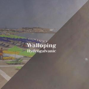 Walloping Hydrogalvanic dari Various