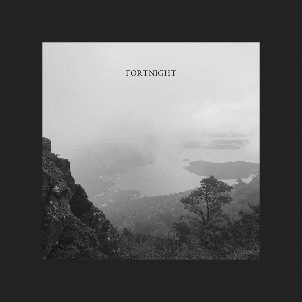 Fortnight (Alternative Version)