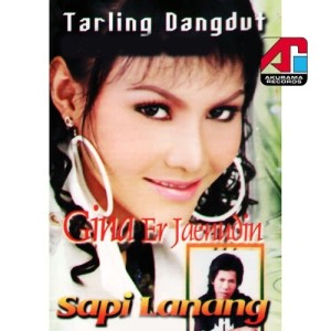 Dengarkan lagu Sapi Lanang nyanyian Gina Er Jaenudin dengan lirik