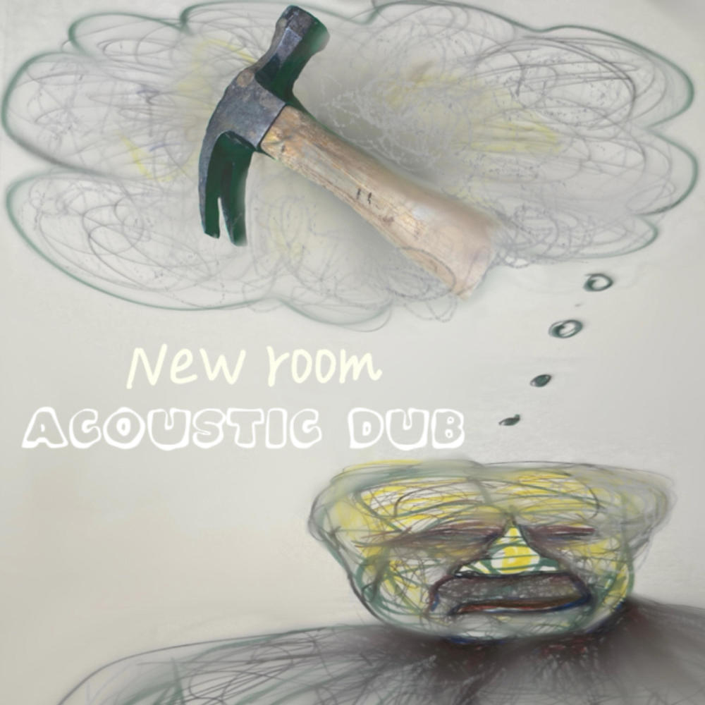 New Room (Acoustic Dub)