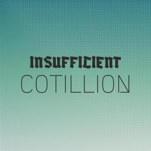 Various的专辑Insufficient Cotillion