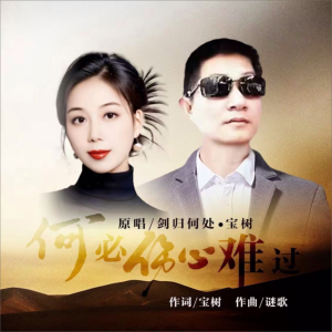 Listen to 何必伤心难过   对唱 (完整版) song with lyrics from 宝树