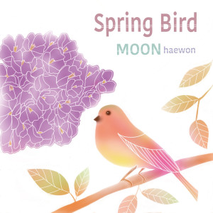 Moon的專輯Spring Bird