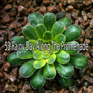 ดาวน์โหลดและฟังเพลง Love Yourself พร้อมเนื้อเพลงจาก Classical Study Music