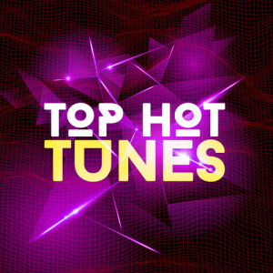 อัลบัม Top Hot Tunes ศิลปิน Top 40 DJ's