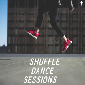 Album Shuffle Dance Sessions oleh Various