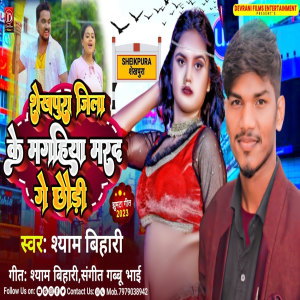 Album Sheikhpura Jila Ke Magahiya Marad Ge Chhaudi from 