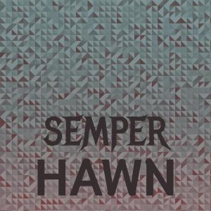Album Semper Hawn from Various