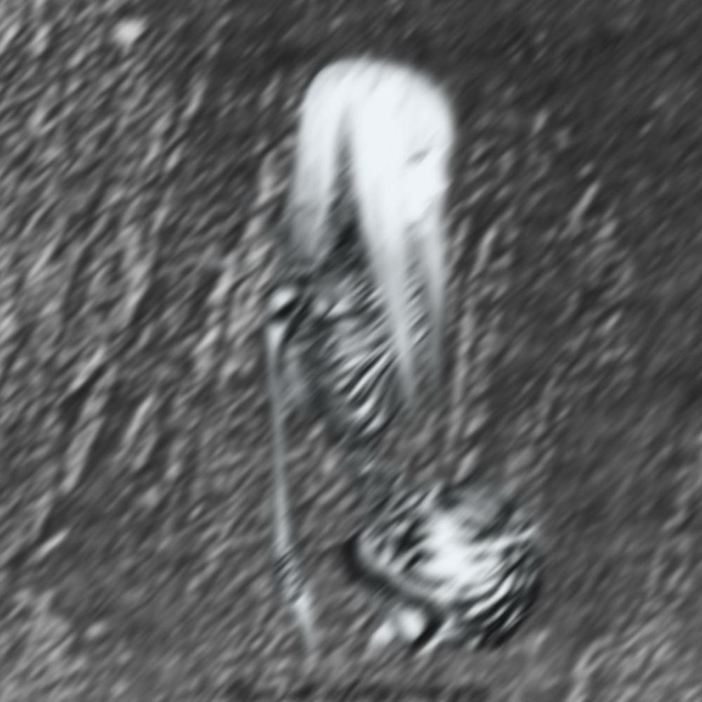 survive (Explicit)