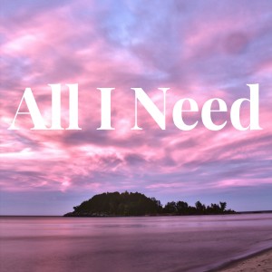 Album All I Need oleh DJ Abreu