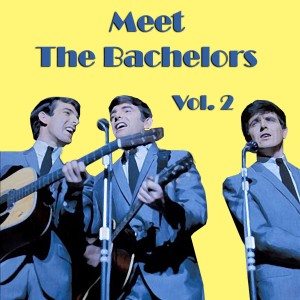 Meet The Bachelors, Vol. 02