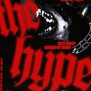 收听Buried By Dawg的The Hype歌词歌曲