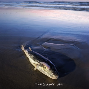 Shlomi Kendel的专辑The Silver Sea