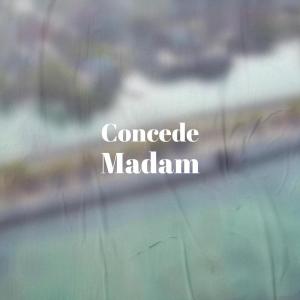 Listen to Concede Madam song with lyrics from Elok