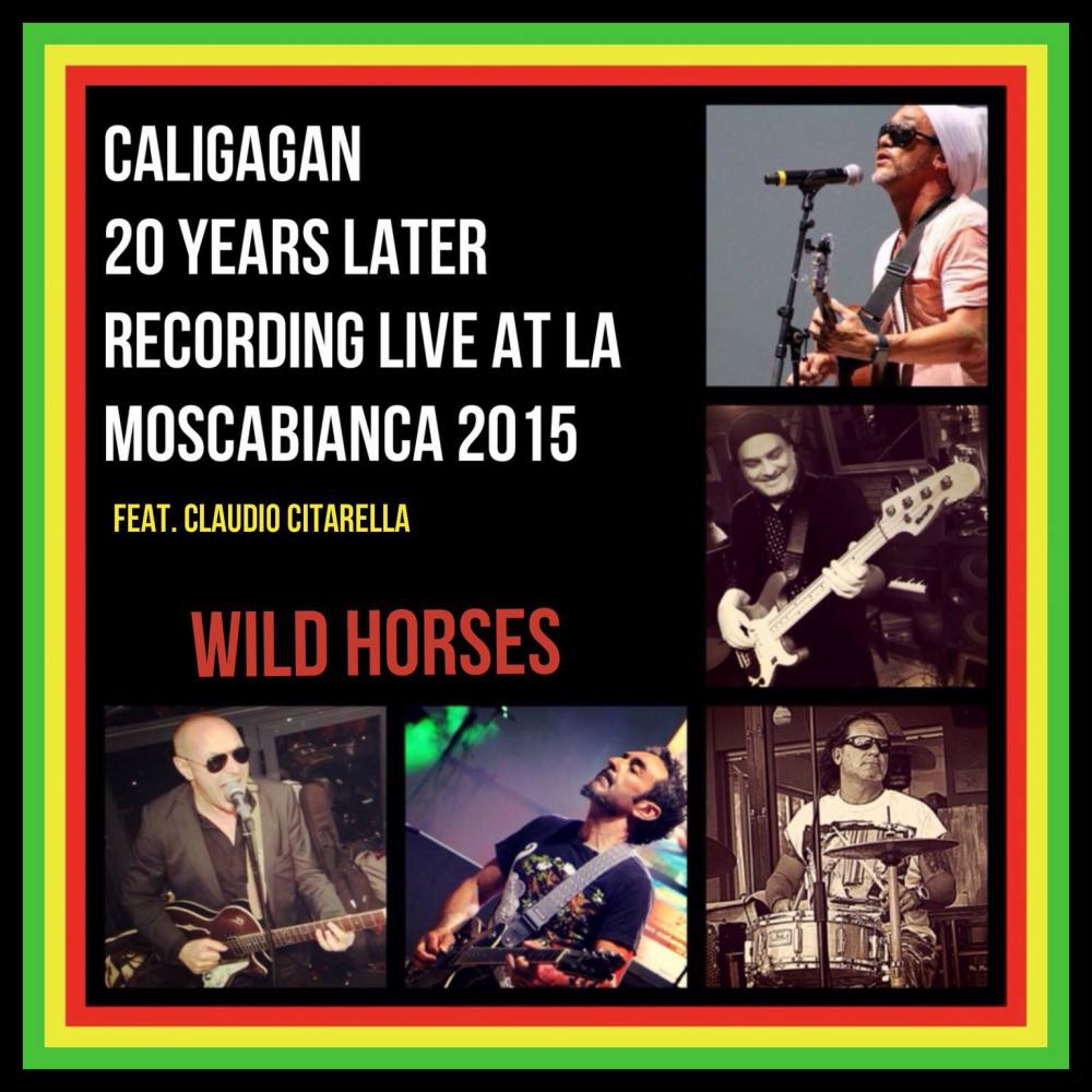 Wild Horses (20 Years Later Recorded Live at La Mosca Bianca 2015)