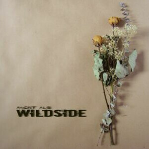 ดาวน์โหลดและฟังเพลง Feliça พร้อมเนื้อเพลงจาก Wildside