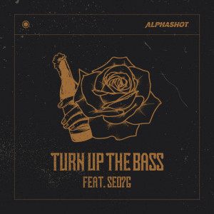 Listen to Turn Up The Bass (feat. SEO7G) song with lyrics from Alphashot