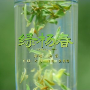 Album 绿杨春 from 汤非