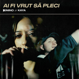 Album Ai fi vrut să pleci oleh DOMINO