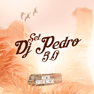 ดาวน์โหลดและฟังเพลง SET DJ Pedro 5.0 พร้อมเนื้อเพลงจาก MACIH